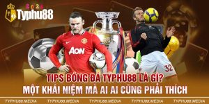 Tips bóng đá từ Typhu88 là những lời khuyên đặt cược hiệu quả